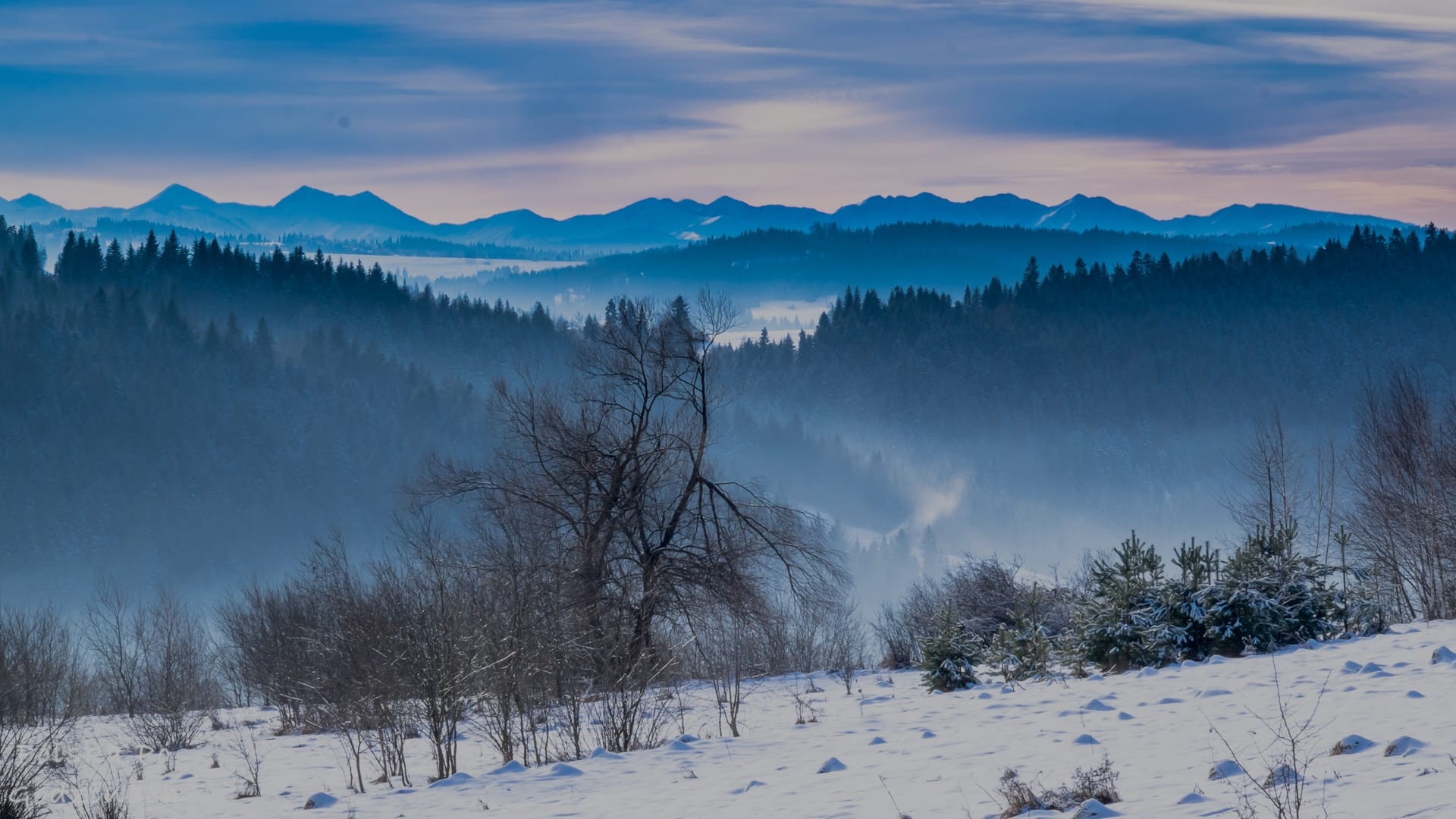 Widok z Mogielicy na Tatry
